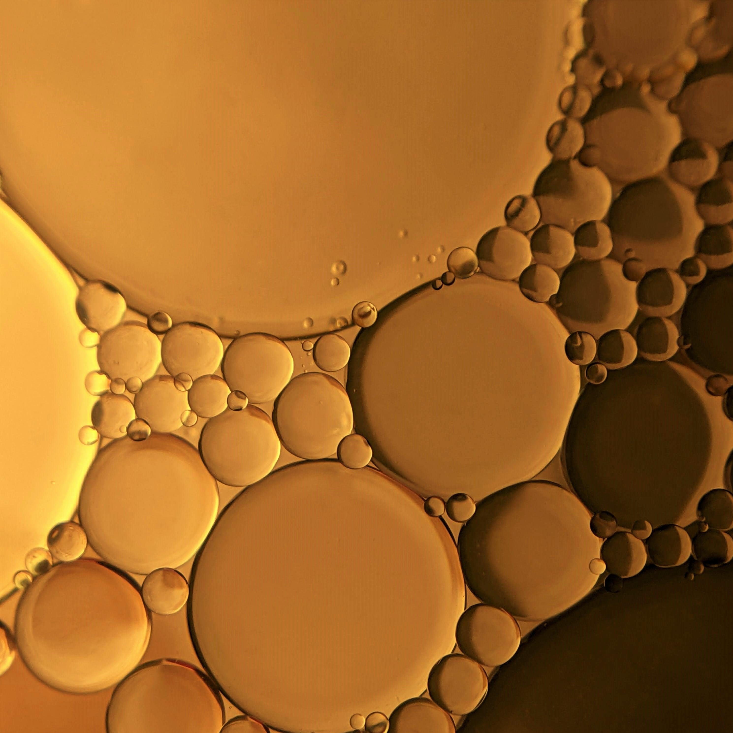 Akzentz Cuticle Oil – The Nail Hub