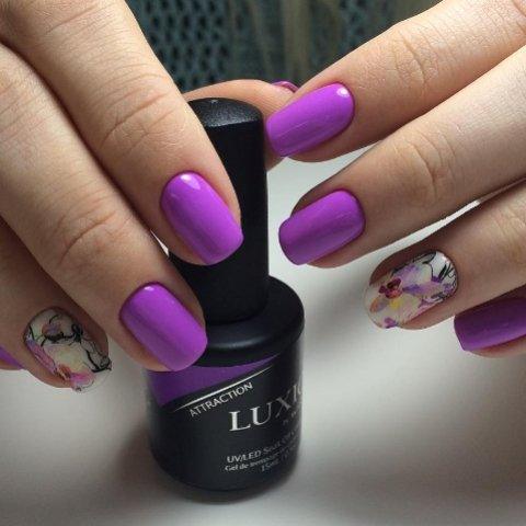 Akzentz Luxio - Attraction - The Nail Hub