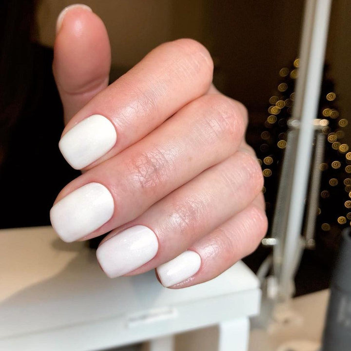 akzentz-luxio-proposal-the-