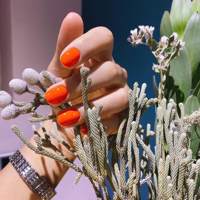 Akzentz Luxio - Pulse - The Nail Hub