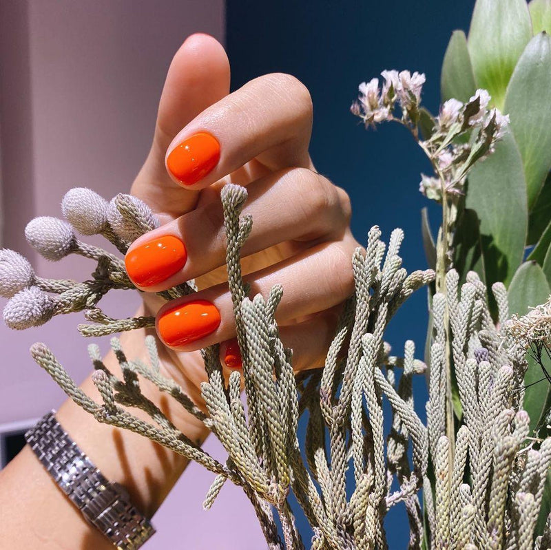 Akzentz Luxio - Pulse - The Nail Hub