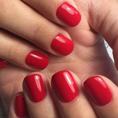 Akzentz Luxio - Vintage - The Nail Hub